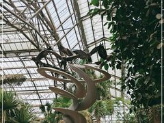 -南山植物园