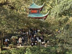 -岳麓山风景名胜区