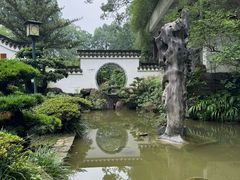 -南山植物园