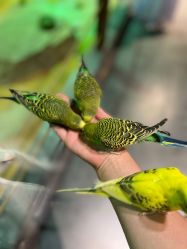 -酷嗒动物文化乐园(cutezoo西溪乐天城店)