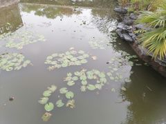 -粤晖园