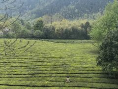 -敬亭山风景名胜区