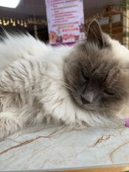 -萌宠亲子动物乐园(槐房万达店)