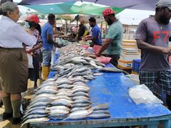 -尼甘布海鲜市场