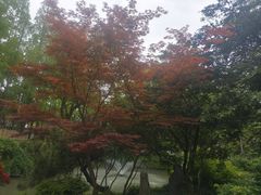 -上海醉白池公园