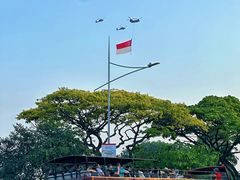-鱼尾狮公园