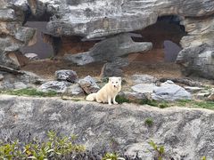 -杭州野生动物世界
