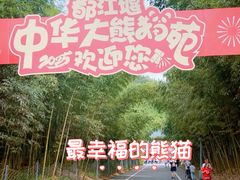 -都江堰中华大熊猫苑
