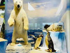 -国家自然博物馆