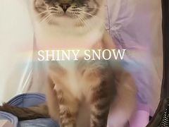 -鹏欣水游城