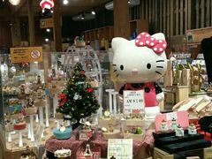 -小樽八音盒堂(手工制作体验馆店)