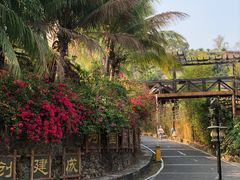 -海南槟榔谷黎苗文化旅游区