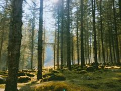 -硗碛藏寨·神木垒景区