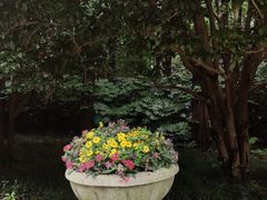 -上海虹桥迎宾馆