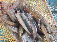 -坛南湾农家乐·海鲜楼·大排档(平潭坛南湾店)