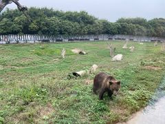-西安秦岭野生动物园