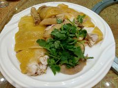 白切鸡王-瑞记湛江鸡饭店·粤西第一鸡(粤垦店)