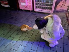 -枫花园汽车电影院(朝阳公园店)