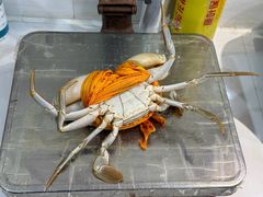 -杨记海鲜楼(三门黑金冠店)