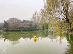 -红梅公园