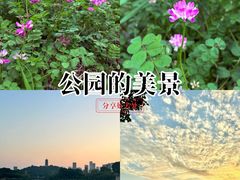 -火炉山森林公园