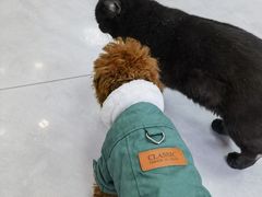 -中农大我爱我爱动物医院·核磁CT·猫病·24小时夜诊中心(石佛营店)
