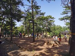 -北京西山国家森林公园