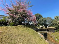-凤阁楼果木烧鹅(鹤山陈山店)
