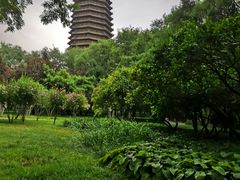 -玲珑塔公园