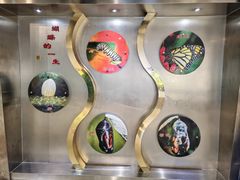 -上海昆虫博物馆