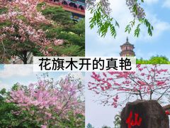 -广州莲花山旅游区