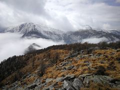 -秦岭风景区