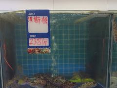-江南村海鲜馆(洞头店)
