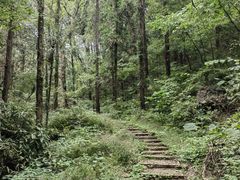 -素山寺森林公园