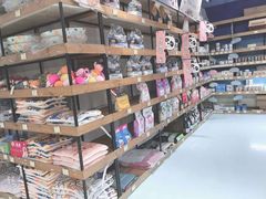 -龟与熊猫宠物公园(南坪店)