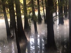 -东湖落雁景区