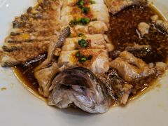 -三强鸽子(中原路店)