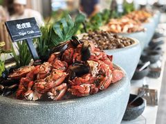 -济南凯宾斯基酒店-THE VIEW云景全日制餐厅