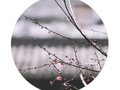 -黎阳老街