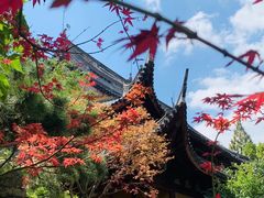 -龙华寺