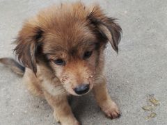 -邹记·美食(斗门店)