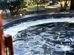 -东海森林温泉度假酒店