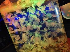 -多彩贵州城极地海洋世界