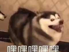 -密友回转自助火锅(世茂国际广场店)