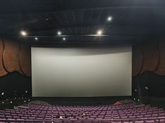 -万象影城(杭州万象城IMAX激光店)