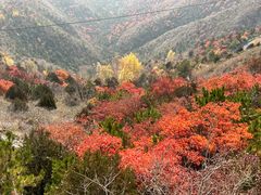 -玉渡山自然风景区