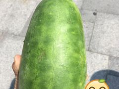 -三林塘老街