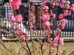 -老友咖啡馆(吉林财富购物广场店)