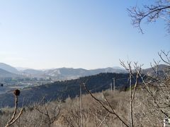 -府君山公园