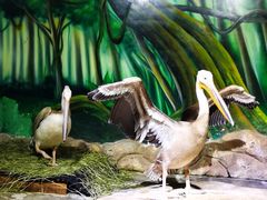 -海合安武汉极地海洋公园